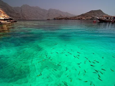 Экскурсия: Рыбалка в водах Омана