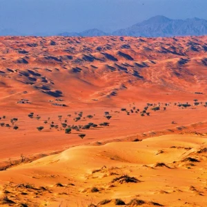 Wahiba desert Oman 2