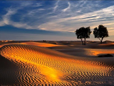 Excursion to the Wahiba Desert