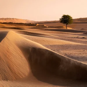 Wahiba desert Oman 5