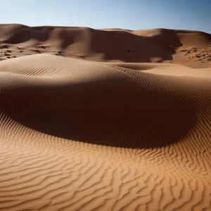 Wahiba desert Oman 8