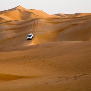 Wahiba desert Oman 9